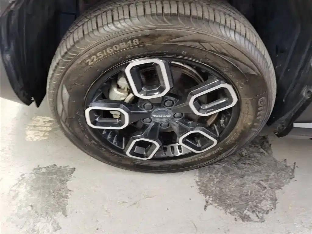 Haval Cool Dog 2022 1.5T DCT 2WD Trendy Edition — миниатюра 25