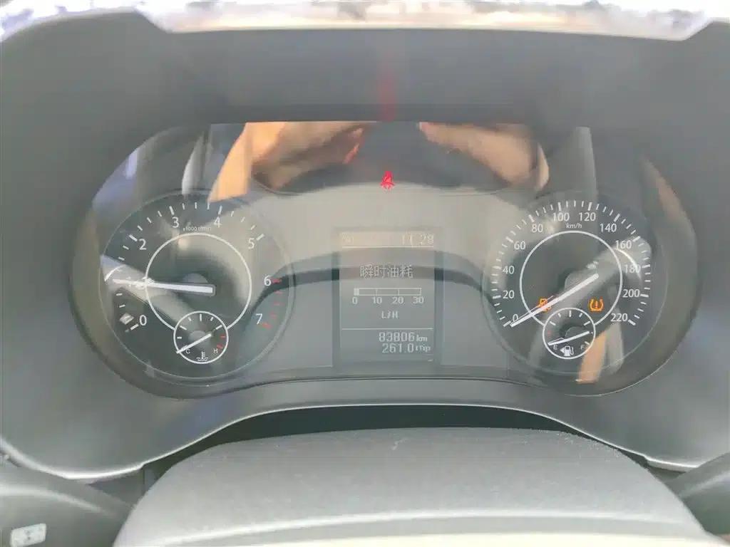 Territory Tiger 9 2019 2.0T Manual Gasoline 4WD Comfort Edition — миниатюра 12