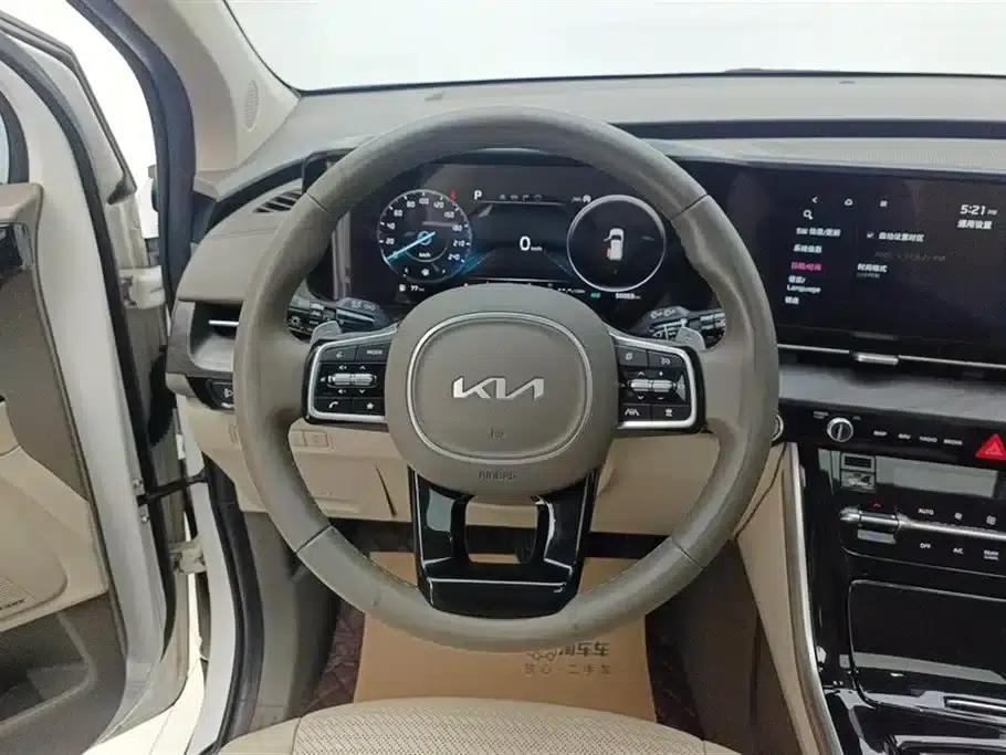 Carnival 2021 2.0T Flagship Edition — миниатюра 15