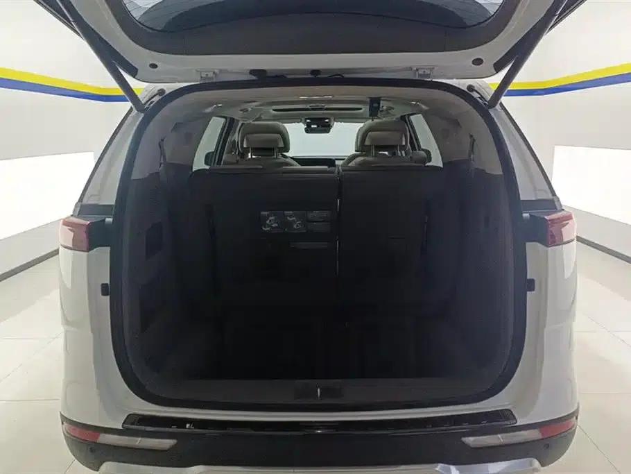 Carnival 2021 2.0T Flagship Edition — миниатюра 4