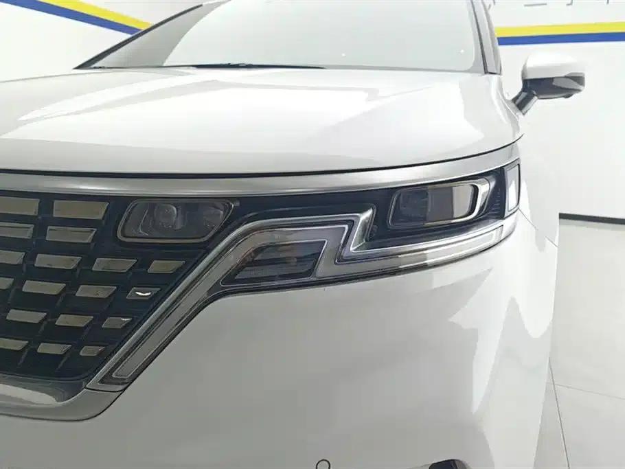 Carnival 2021 2.0T Flagship Edition — миниатюра 5