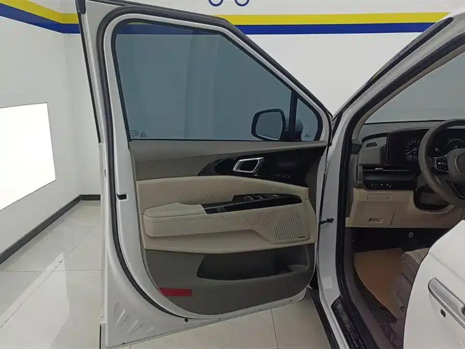 Carnival 2021 2.0T Flagship Edition — миниатюра 7