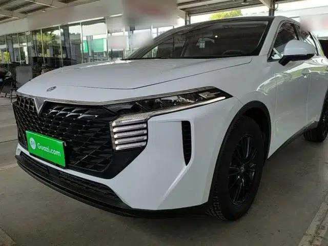 Venucia V 2023 260T Idol Edition Pro