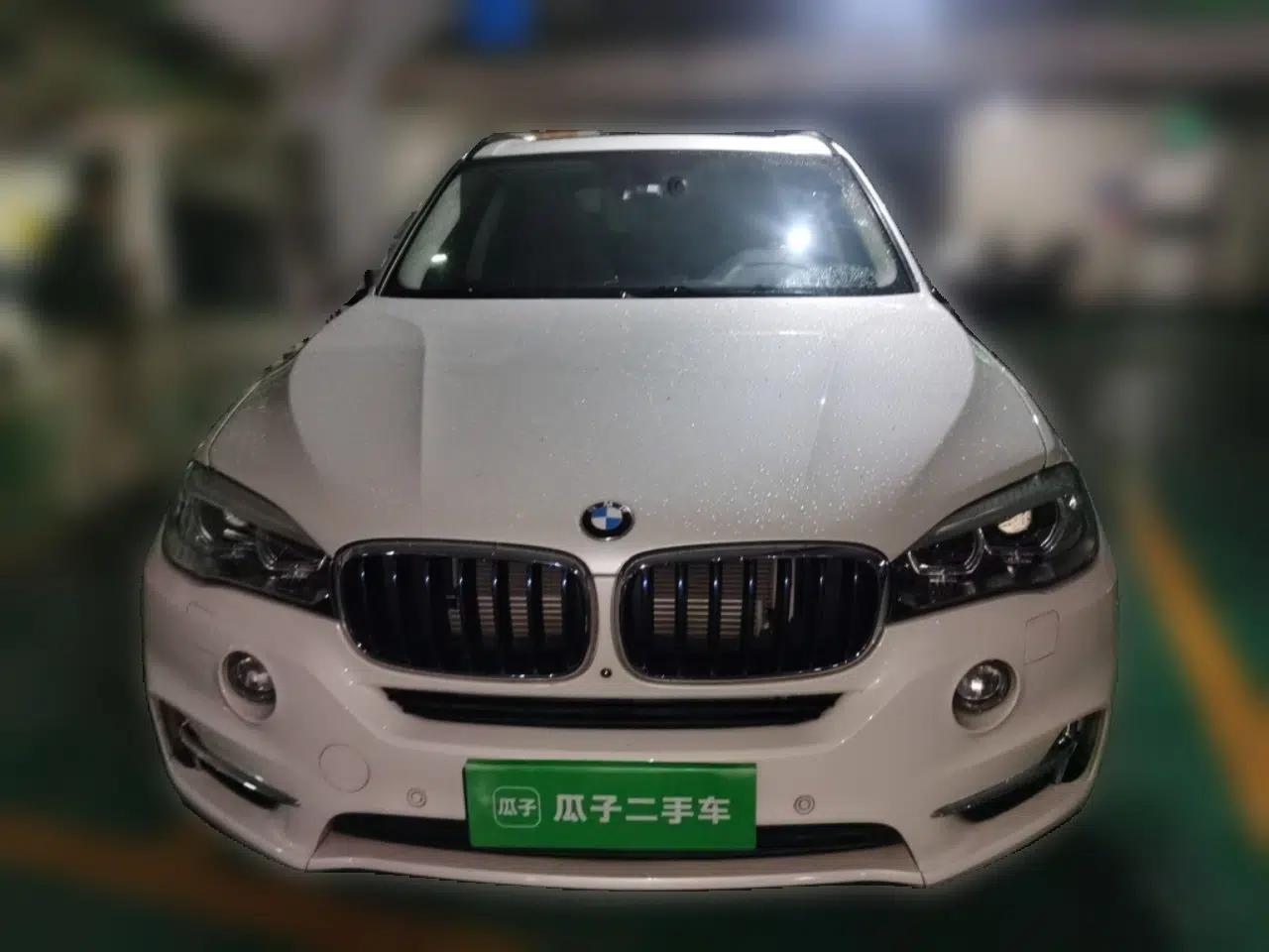 BMW X5 New Energy  — миниатюра 2