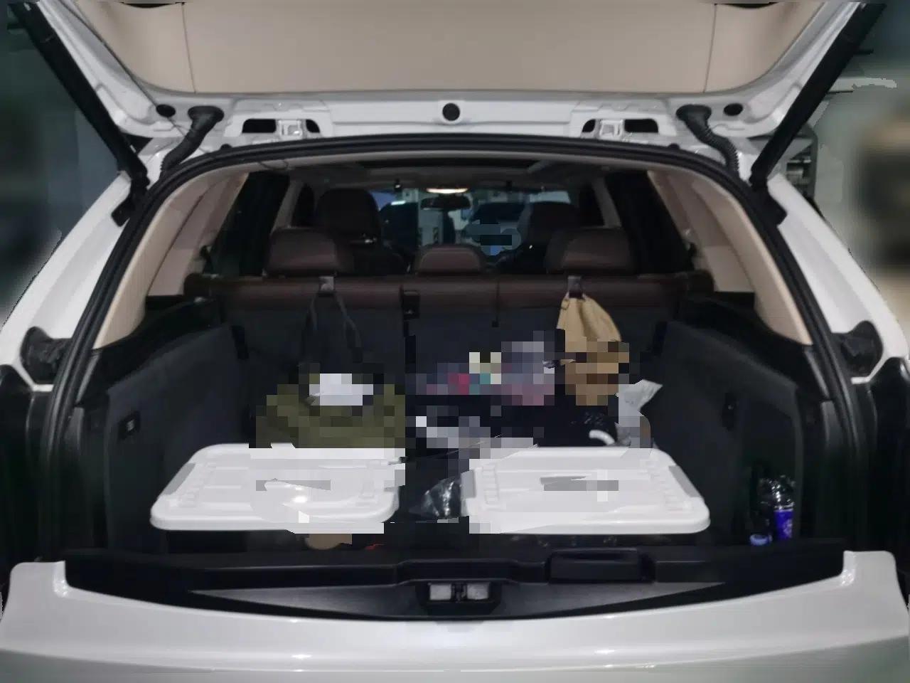 BMW X5 New Energy  — миниатюра 20