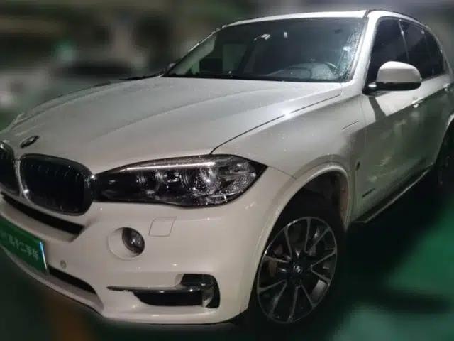 BMW X5 New Energy 