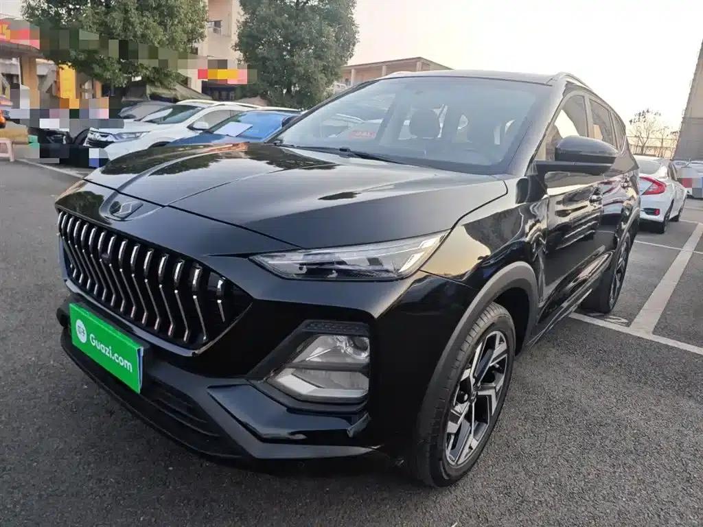 Sihao X8 2021 300T DCT Premium Intelligent Connected Edition 5-seater — миниатюра 1