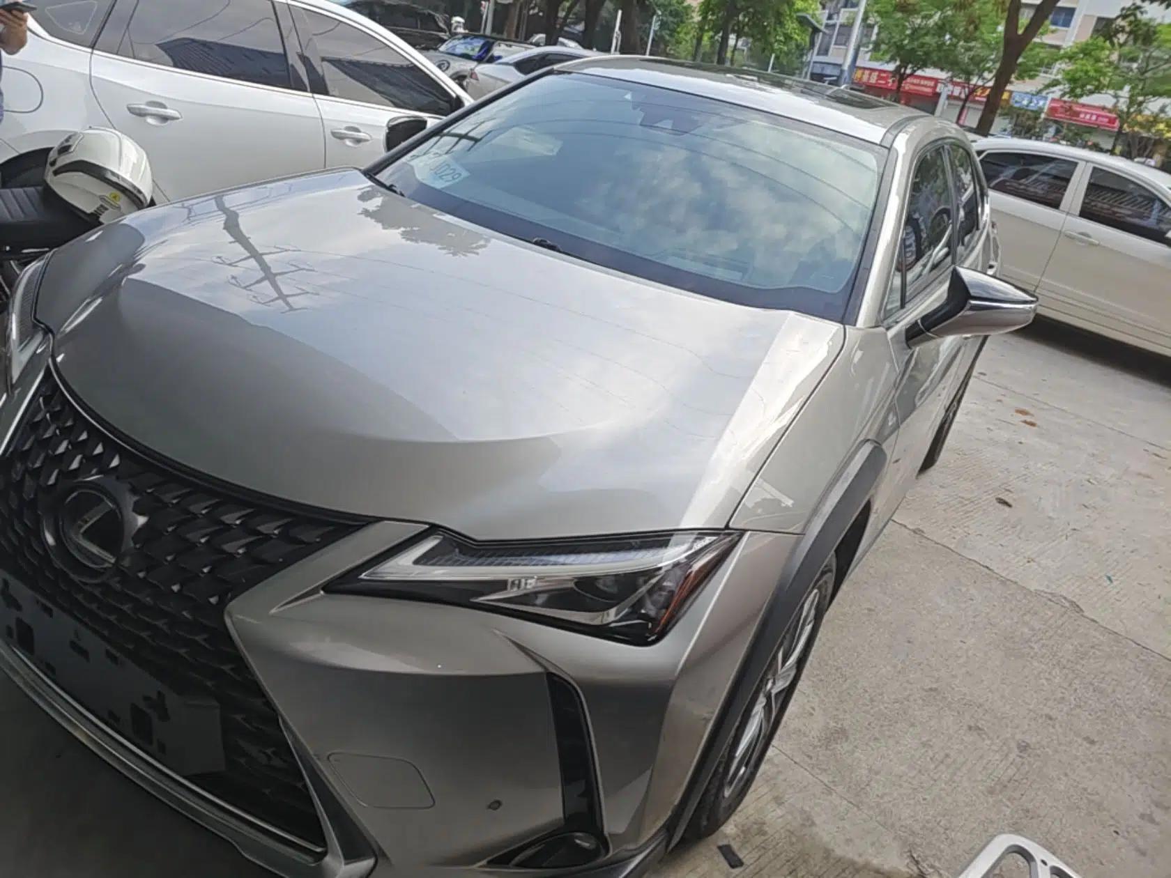 Lexus UX New Energy 2020 300e Pure·Enjoy Edition — миниатюра 1