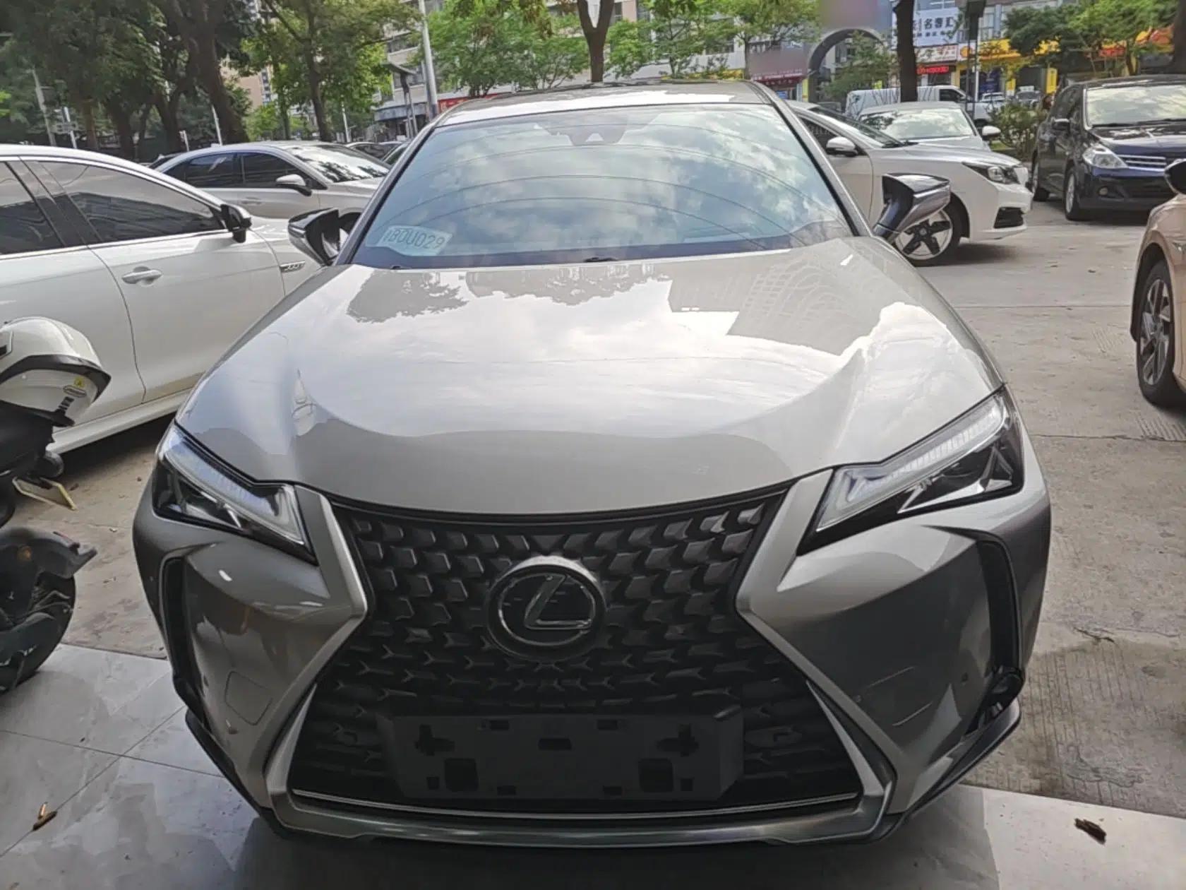 Lexus UX New Energy 2020 300e Pure·Enjoy Edition — миниатюра 2