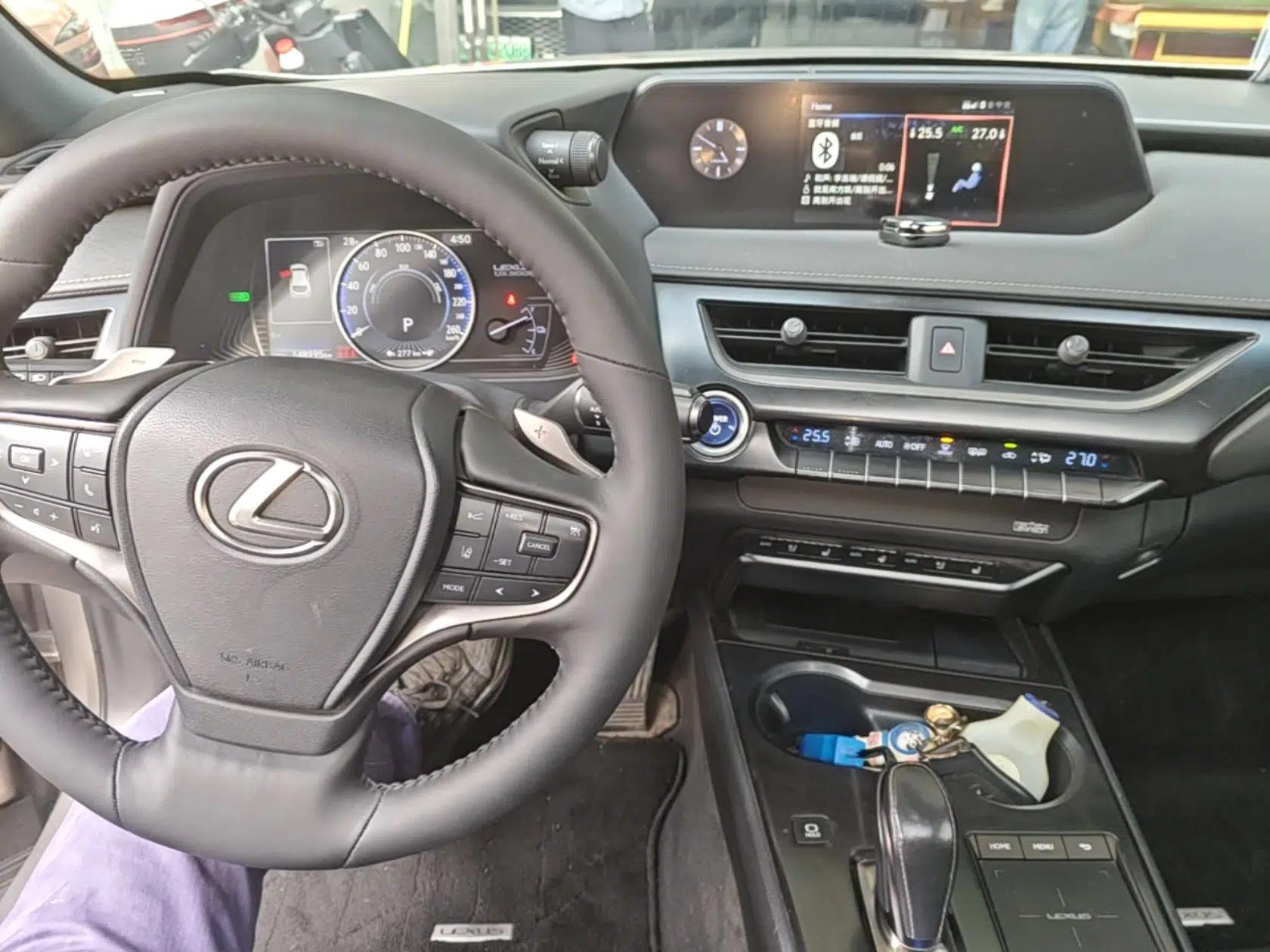 Lexus UX New Energy 2020 300e Pure·Enjoy Edition — миниатюра 13