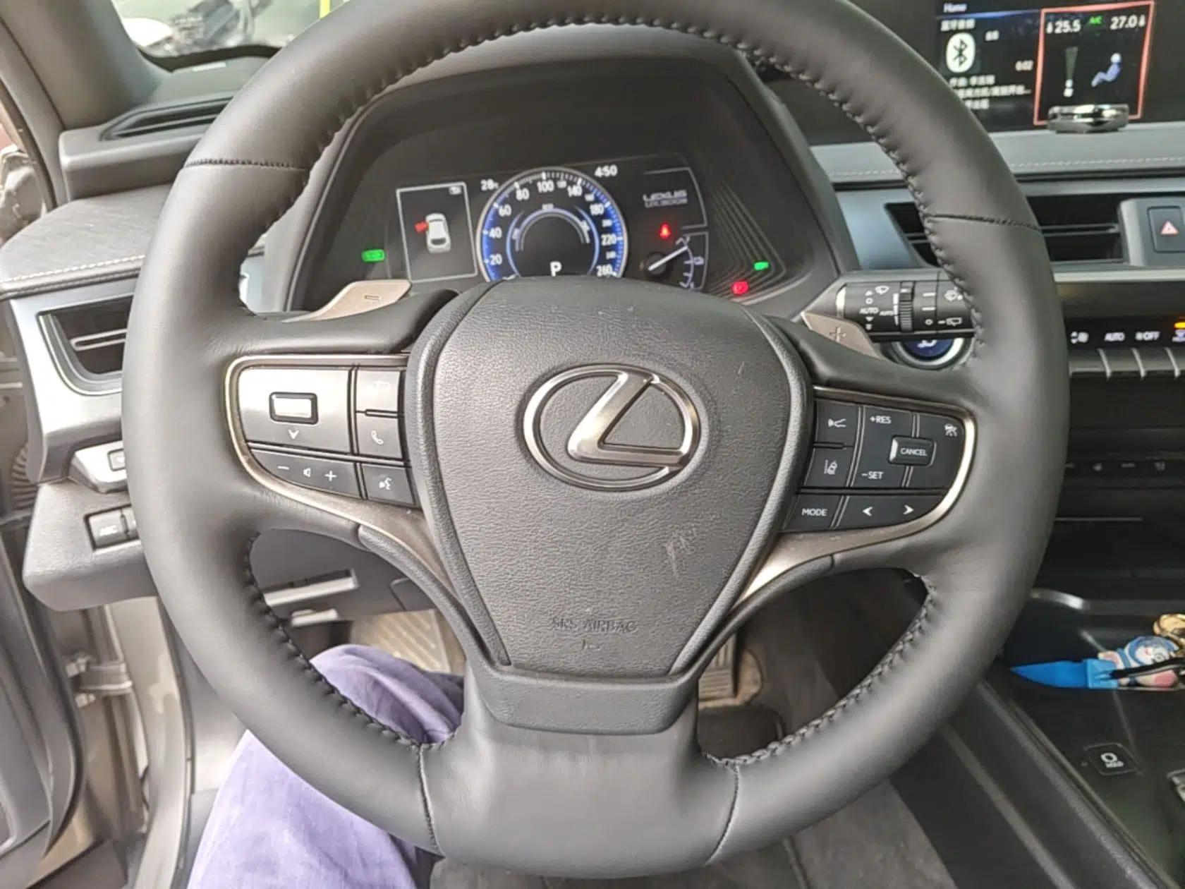 Lexus UX New Energy 2020 300e Pure·Enjoy Edition — миниатюра 14