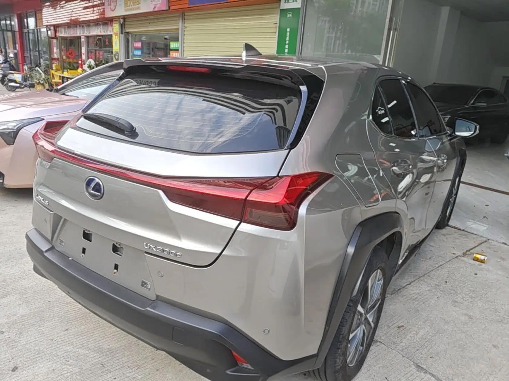 Lexus UX New Energy 2020 300e Pure·Enjoy Edition — миниатюра 6