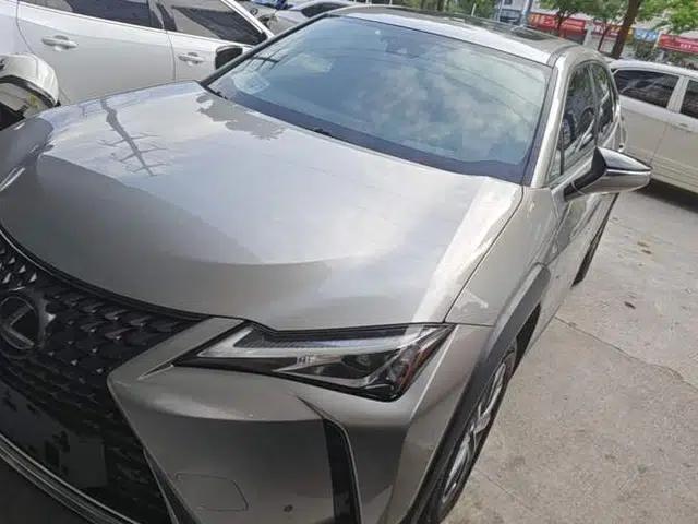 Lexus UX New Energy 2020 300e Pure·Enjoy Edition