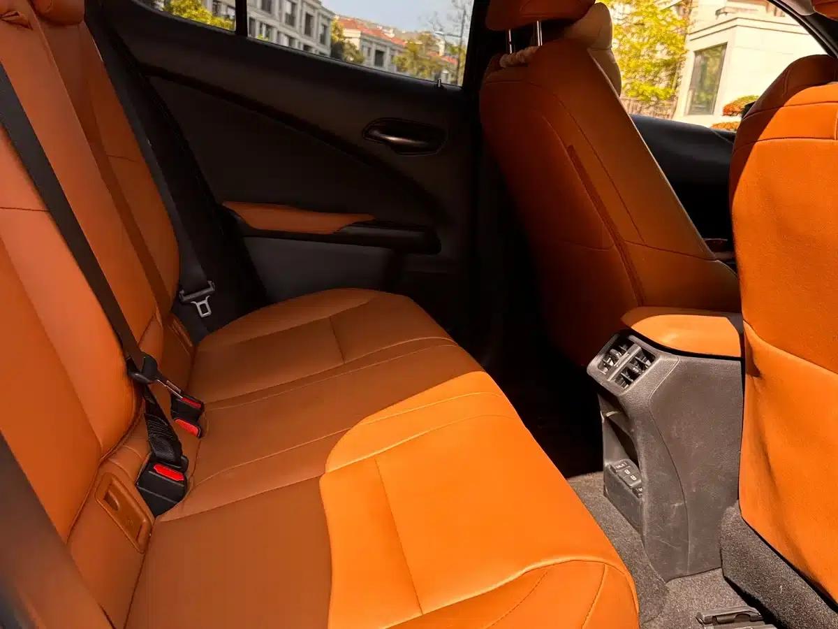 Lexus UX PHEV 2020 300e Pure Enjoyment Edition — миниатюра 8