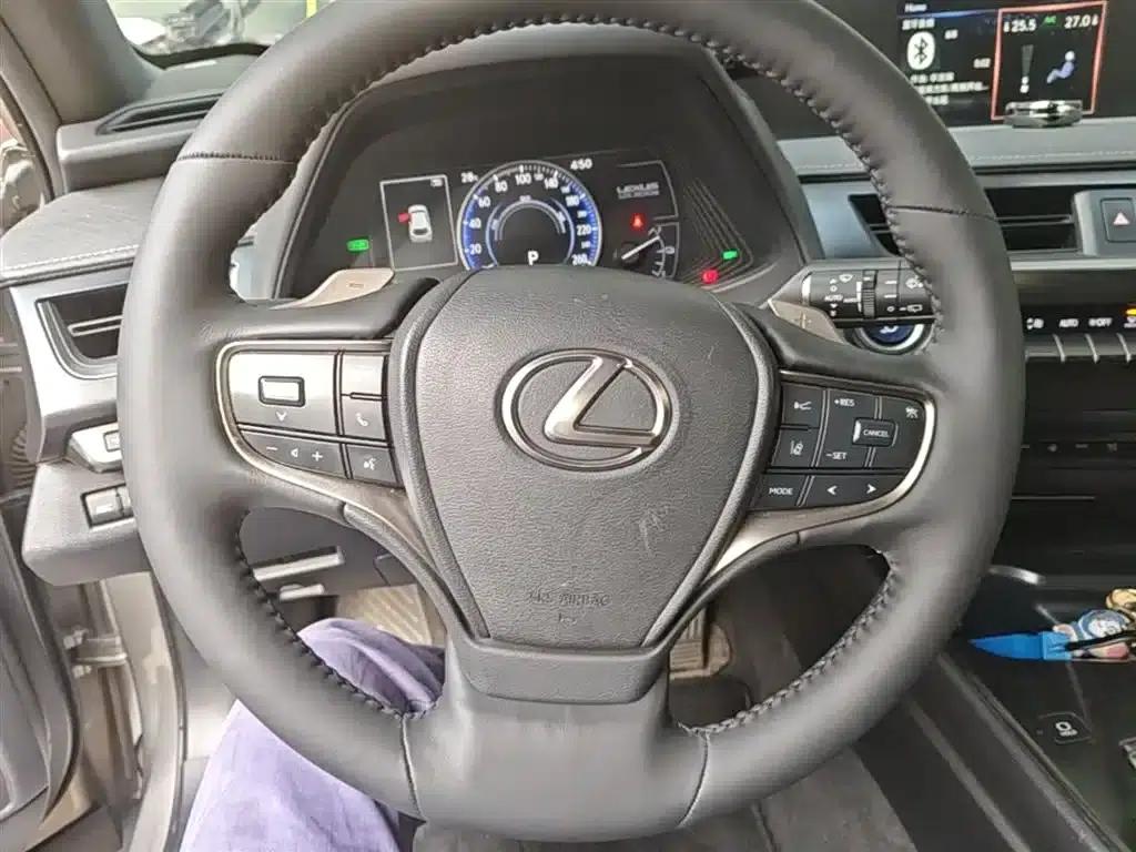Lexus UX PHEV 2020 300e Pure Enjoy Edition — миниатюра 11