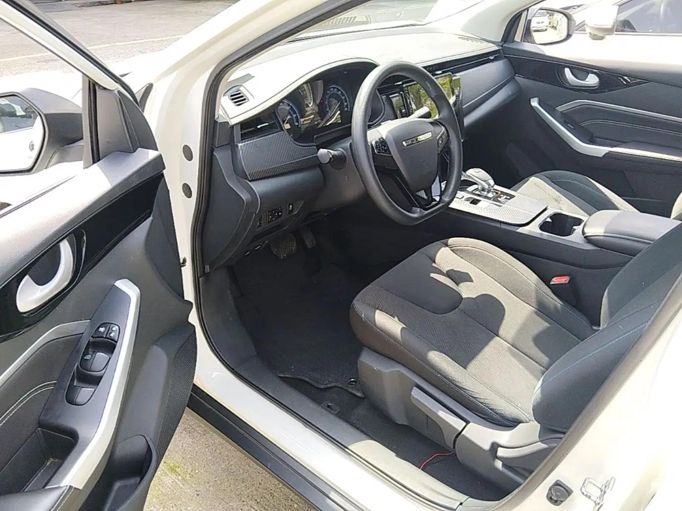 Venucia D60EV 2023 PLUS Comfort Edition CI Model — миниатюра 19