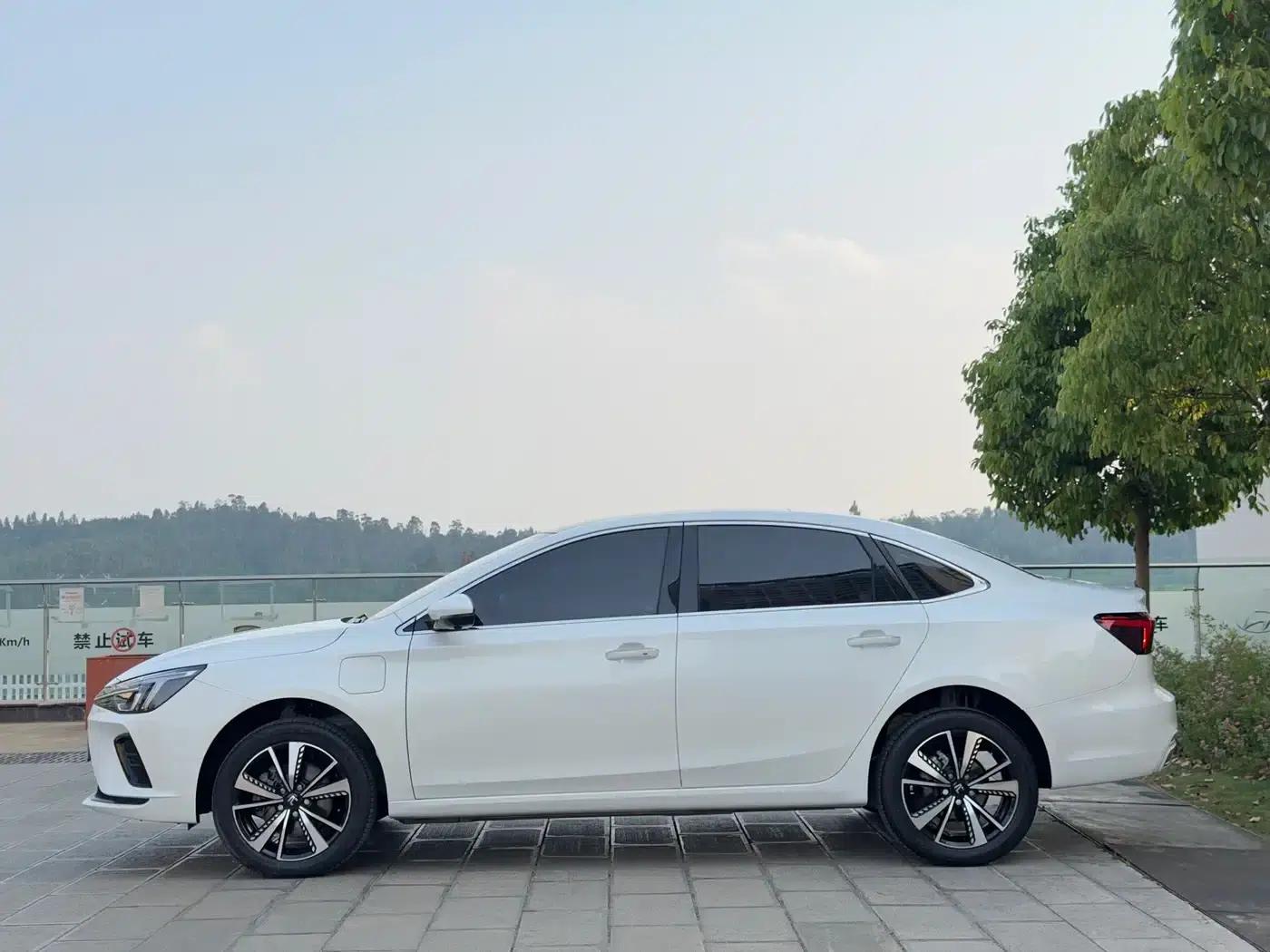 Feifan ER6 2021 New Dynamic Edition 520km Smart Leading Edition — миниатюра 10