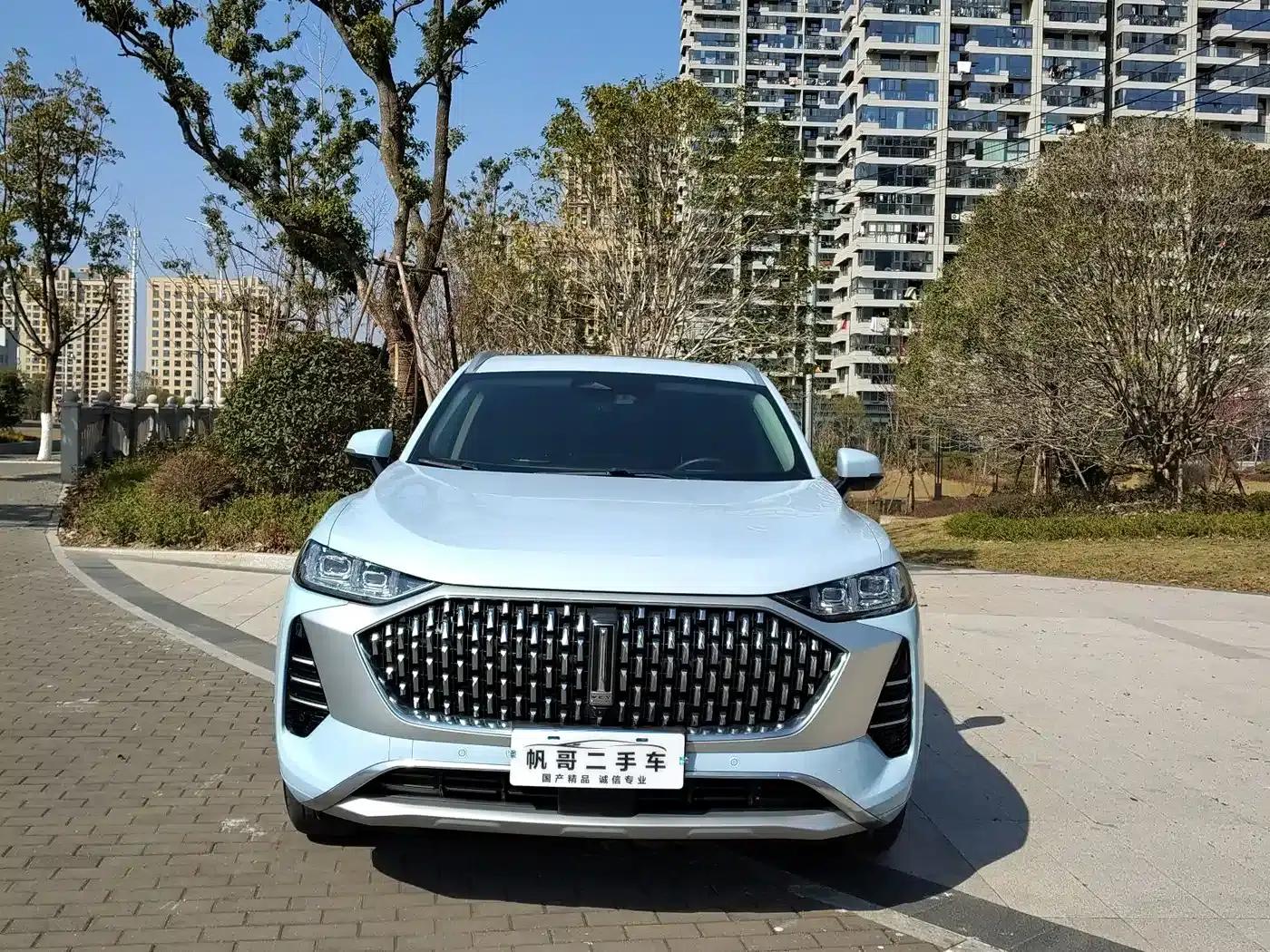 Wei brand Mocha 2021 2.0T 2WD Extra Rich Edition — миниатюра 2