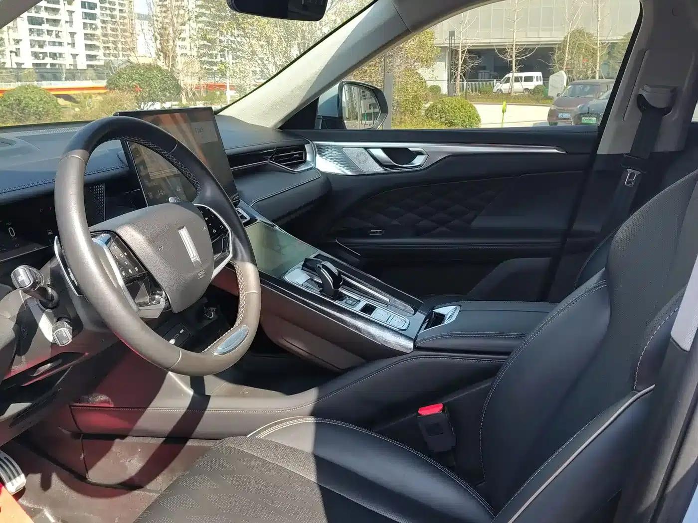 Wei brand Mocha 2021 2.0T 2WD Extra Rich Edition — миниатюра 13
