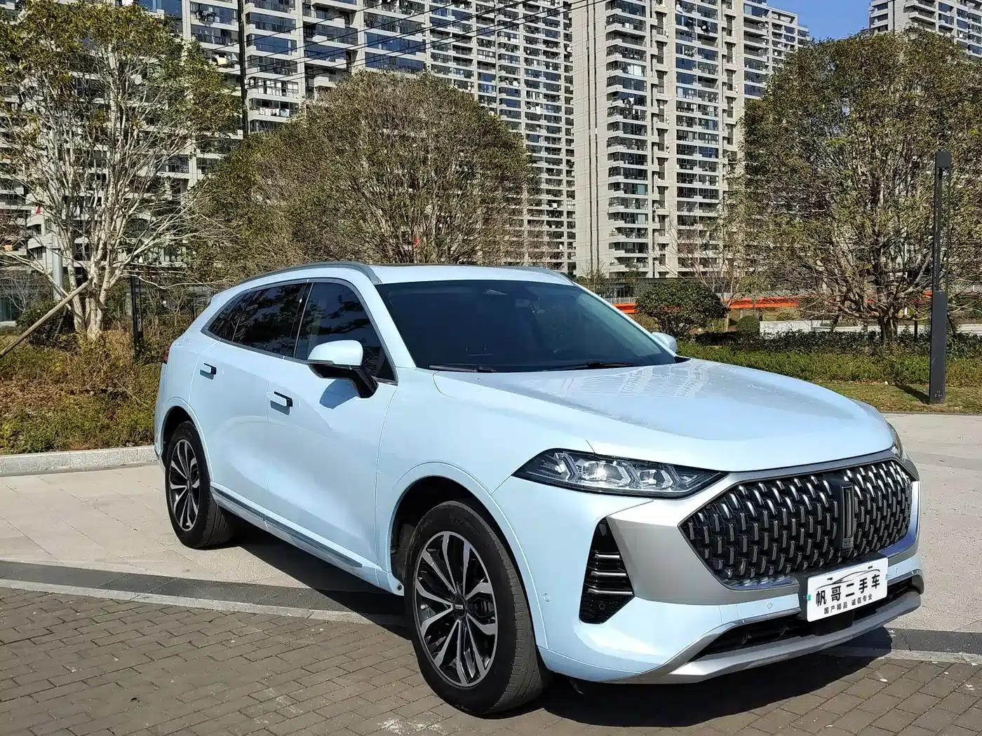 Wei brand Mocha 2021 2.0T 2WD Extra Rich Edition — миниатюра 3