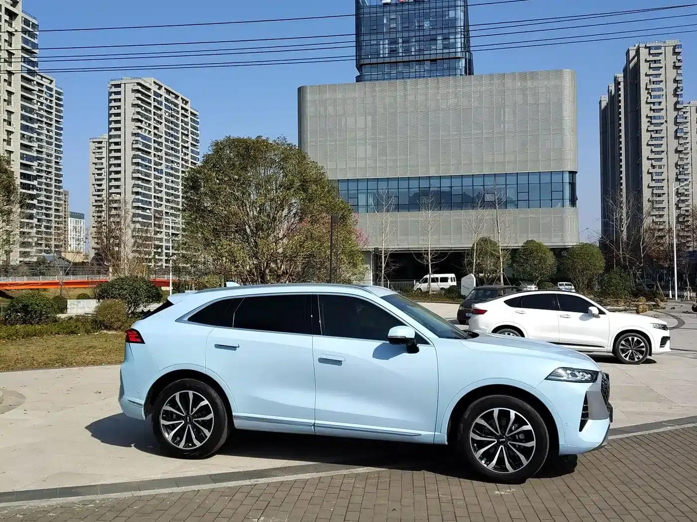 Wei brand Mocha 2021 2.0T 2WD Extra Rich Edition — миниатюра 4