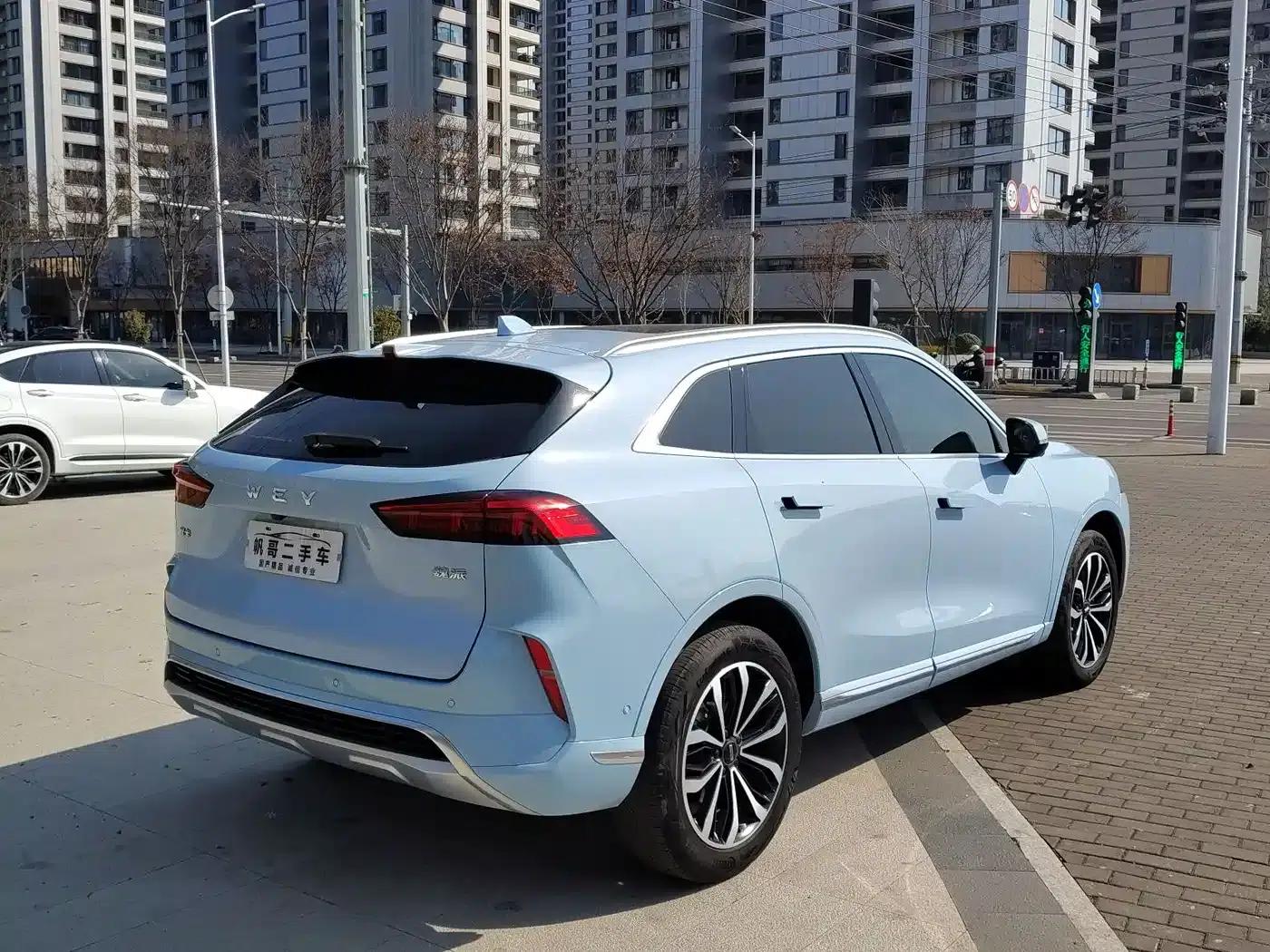 Wei brand Mocha 2021 2.0T 2WD Extra Rich Edition — миниатюра 5