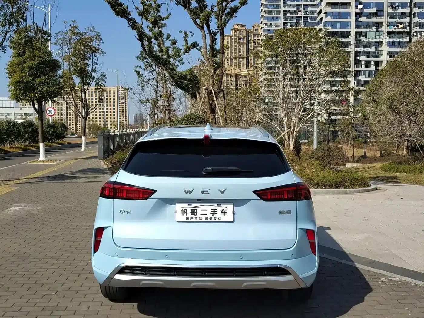 Wei brand Mocha 2021 2.0T 2WD Extra Rich Edition — миниатюра 6