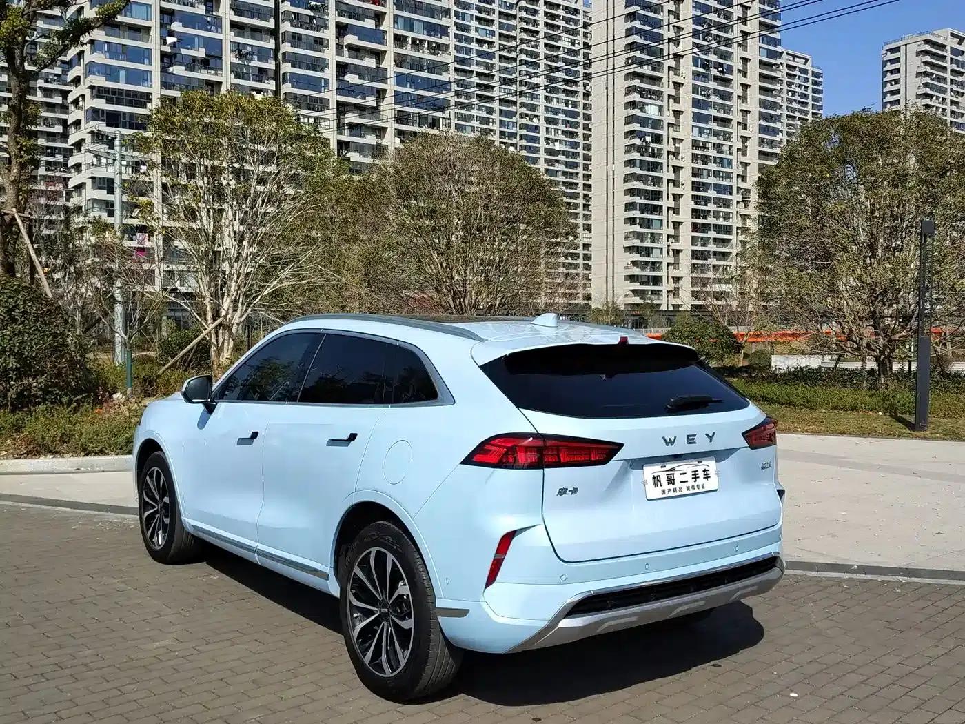 Wei brand Mocha 2021 2.0T 2WD Extra Rich Edition — миниатюра 7