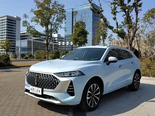 Wei brand Mocha 2021 2.0T 2WD Extra Rich Edition