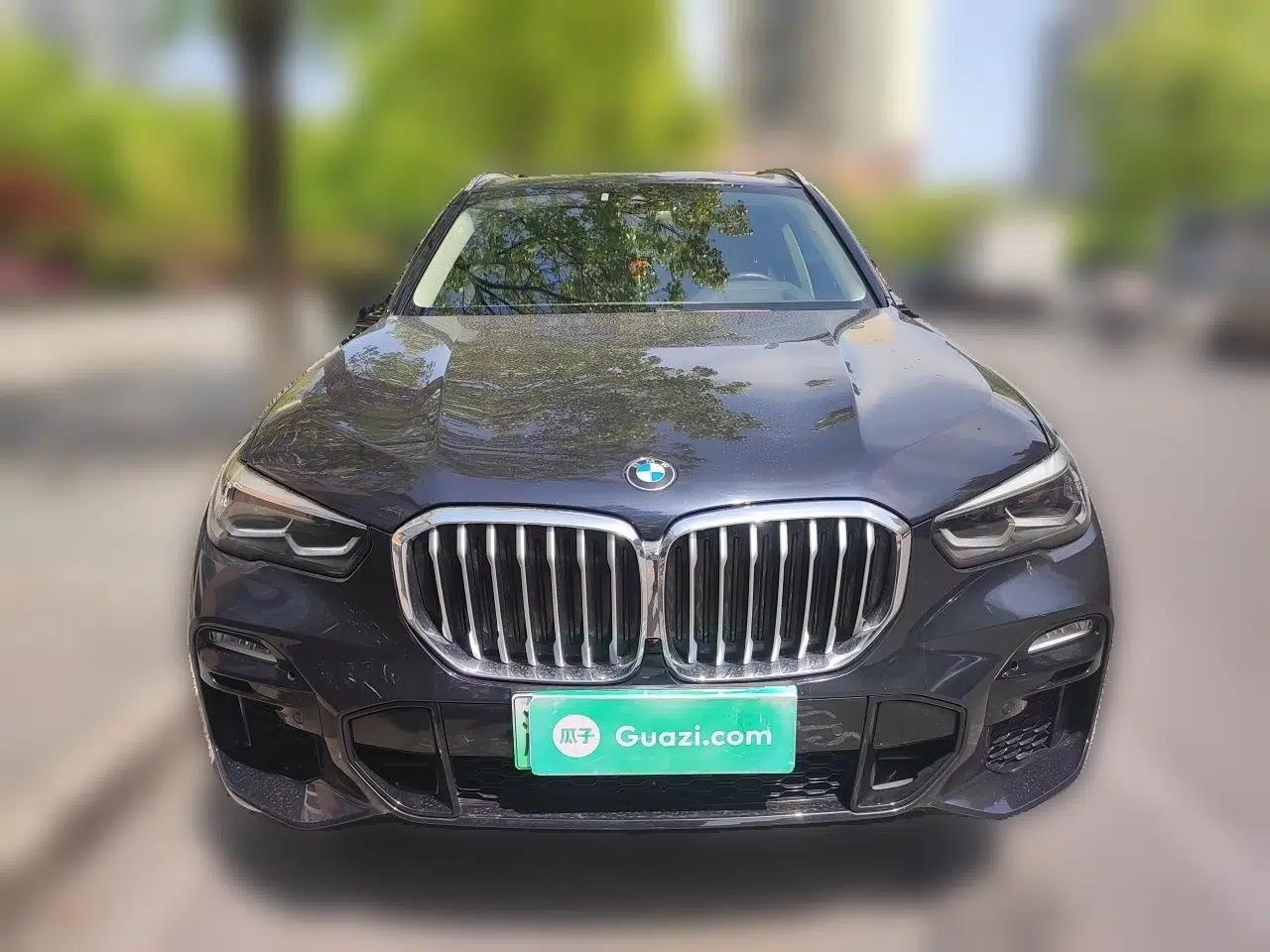 BMW X5 New Energy 2020 xDrive45e M Sport Package — миниатюра 2
