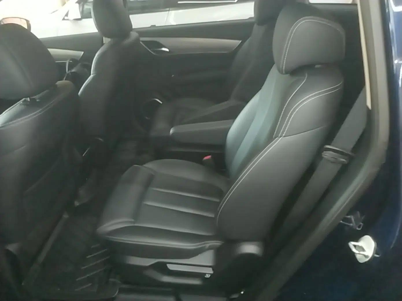 BYD Song MAX New Energy 2019 DM 1.5T Smart Connect Advanced 6-Seater China VI Standard — миниатюра 20