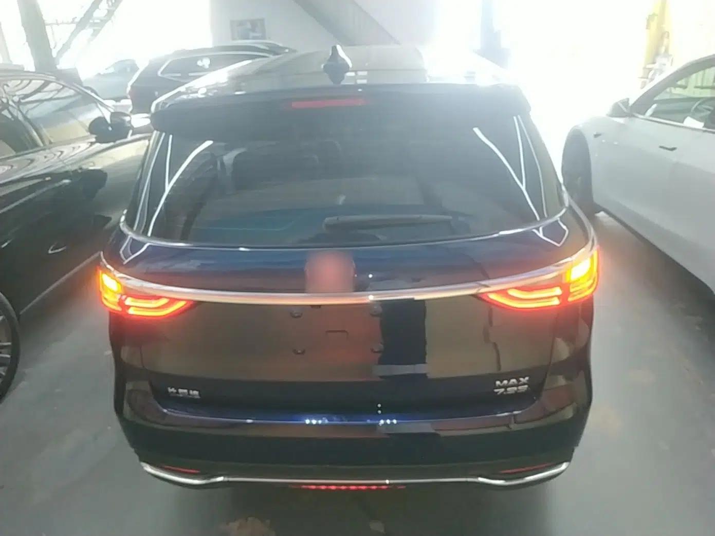 BYD Song MAX New Energy 2019 DM 1.5T Smart Connect Advanced 6-Seater China VI Standard — миниатюра 5