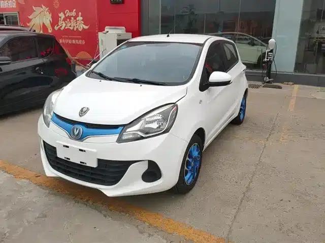 Benben EV 2019 EV360 Standard Edition