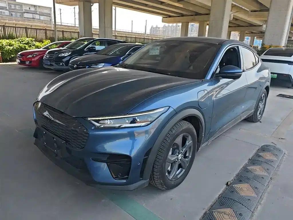 Ford Electric 2021 Model X Rear-Wheel Drive Standard Range — миниатюра 1