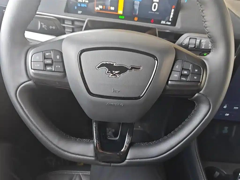 Ford Electric 2021 Model X Rear-Wheel Drive Standard Range — миниатюра 11