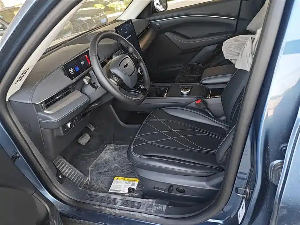 Ford Electric 2021 Model X Rear-Wheel Drive Standard Range — миниатюра 15