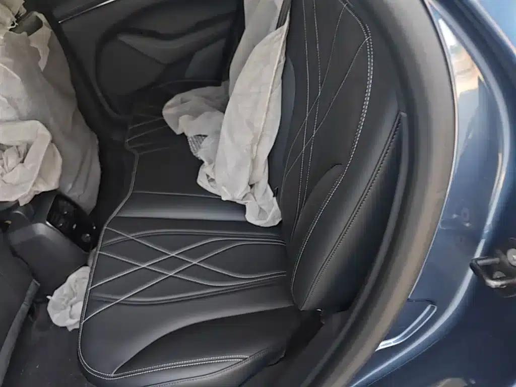 Ford Electric 2021 Model X Rear-Wheel Drive Standard Range — миниатюра 17