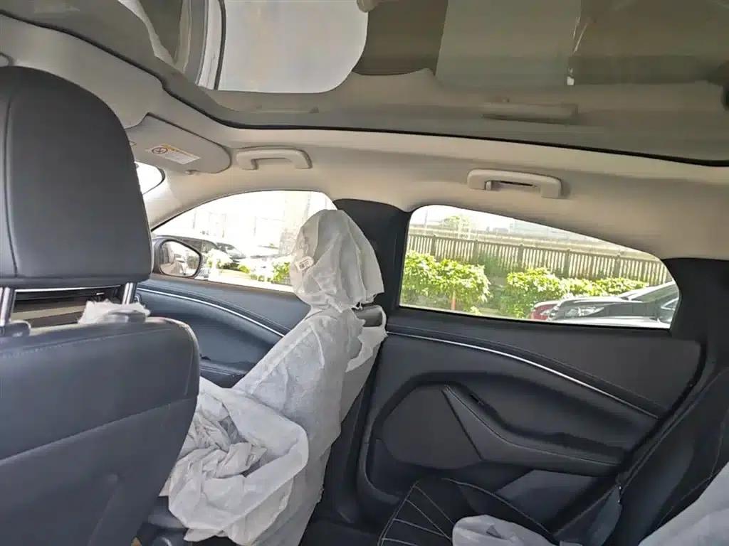 Ford Electric 2021 Model X Rear-Wheel Drive Standard Range — миниатюра 18