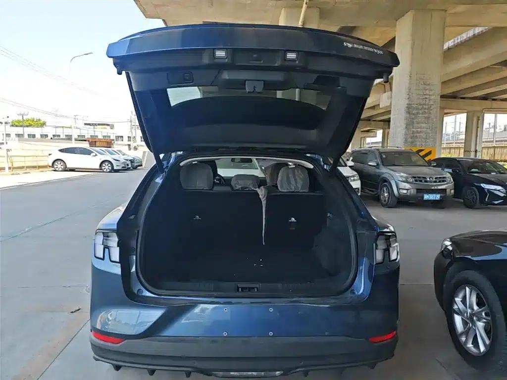 Ford Electric 2021 Model X Rear-Wheel Drive Standard Range — миниатюра 19