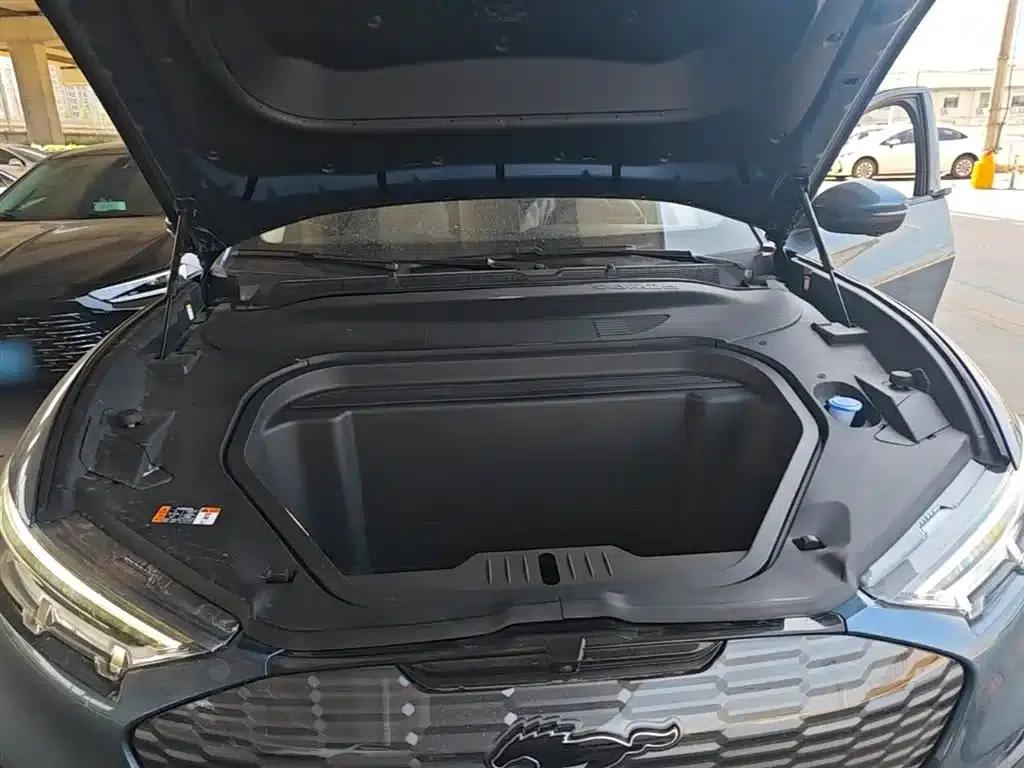 Ford Electric 2021 Model X Rear-Wheel Drive Standard Range — миниатюра 20