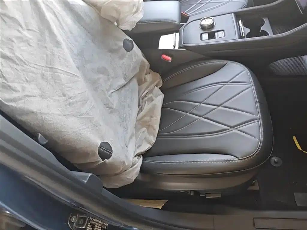 Ford Electric 2021 Model X Rear-Wheel Drive Standard Range — миниатюра 25