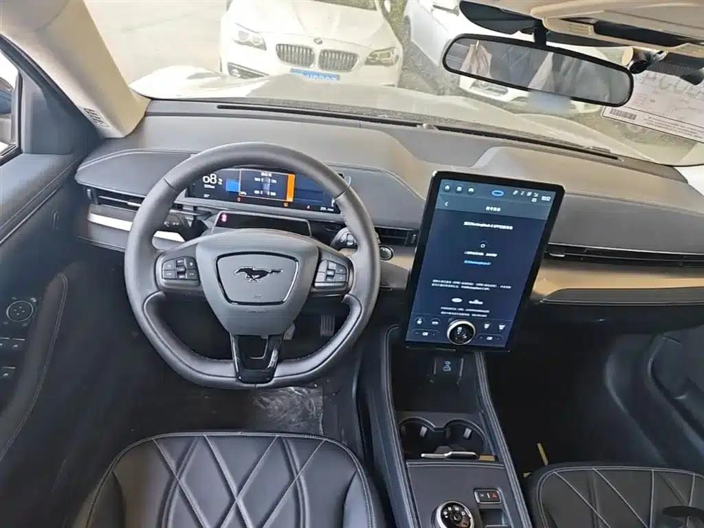 Ford Electric 2021 Model X Rear-Wheel Drive Standard Range — миниатюра 10