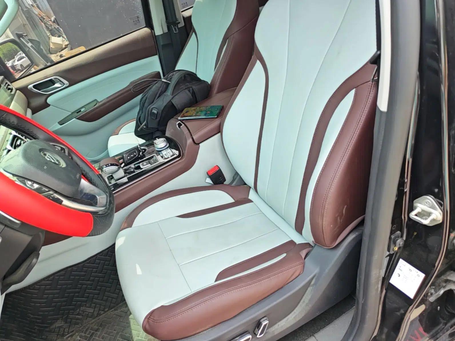 Foton General G9 2023 2.0T Armored Great General Automatic 4x4 Diesel Enjoyment Model Long Wheelbase 4F20TC — миниатюра 18