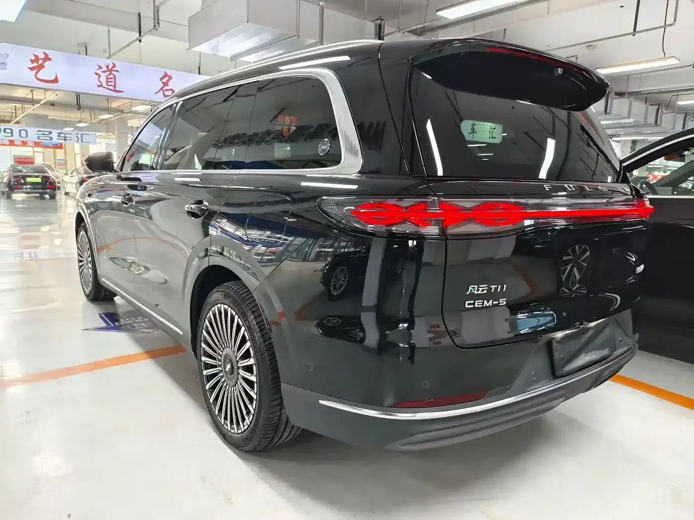 Fengyun T11 2026 Model 220 4WD Family Fun — миниатюра 6