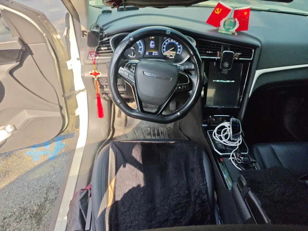Venucia D60EV 2020 Standard Range T3 — миниатюра 11