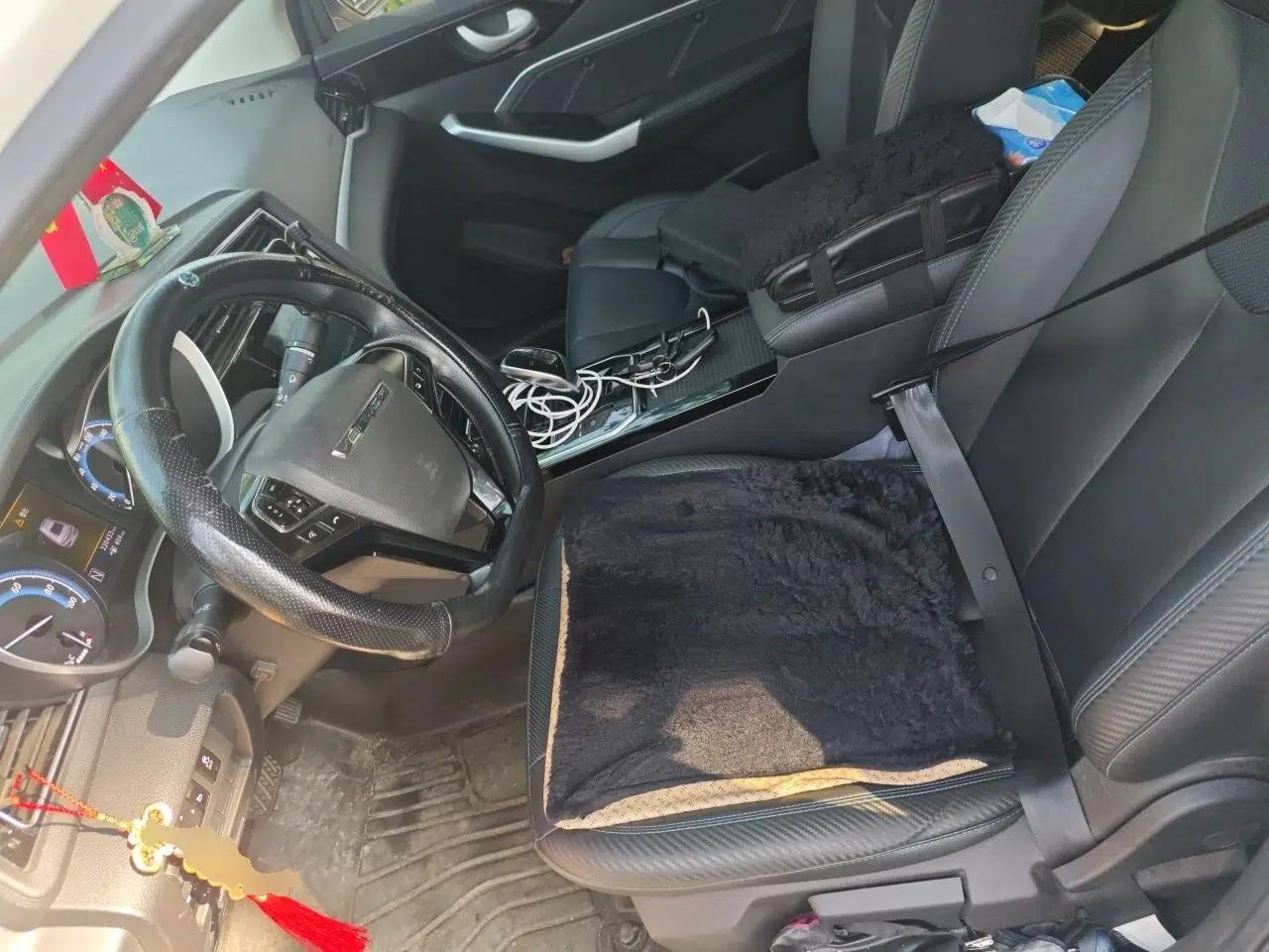 Venucia D60EV 2020 Standard Range T3 — миниатюра 16