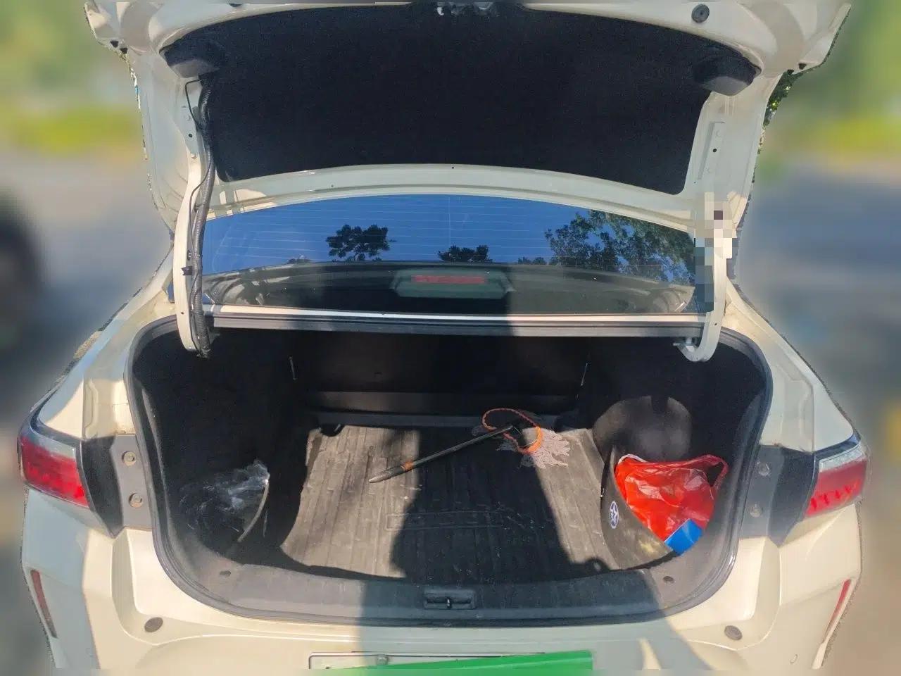 Venucia D60EV 2020 Standard Range T3 — миниатюра 20