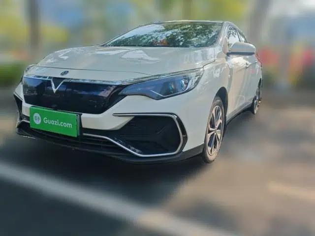 Venucia D60EV 2020 Standard Range T3
