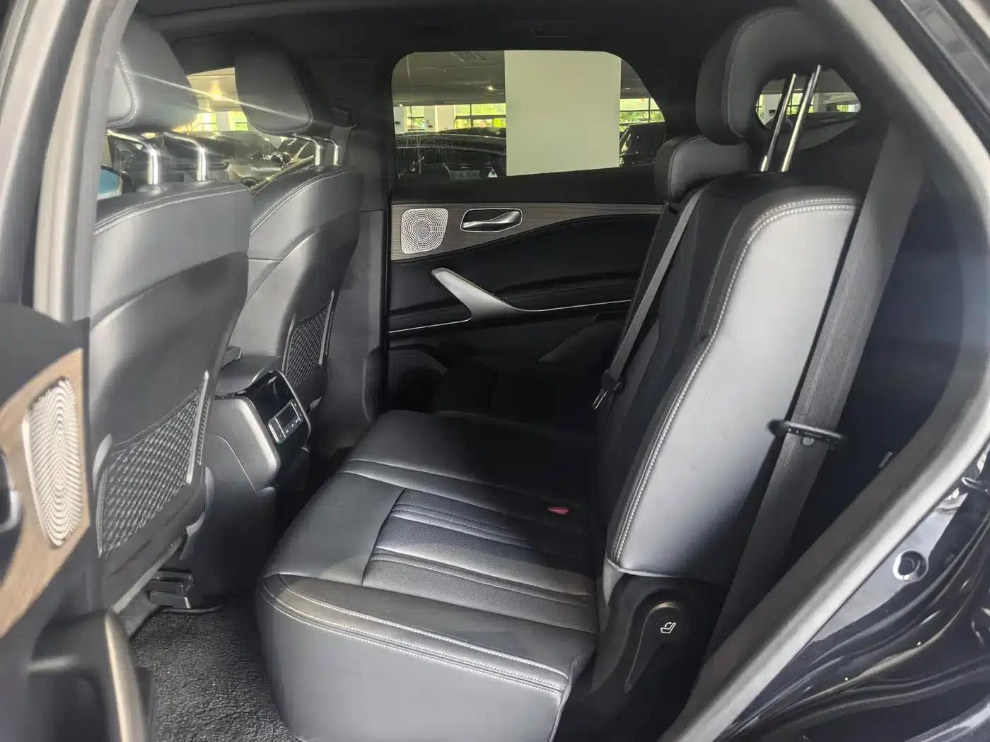 Denza X 2020 PHEV Classic Edition — миниатюра 6