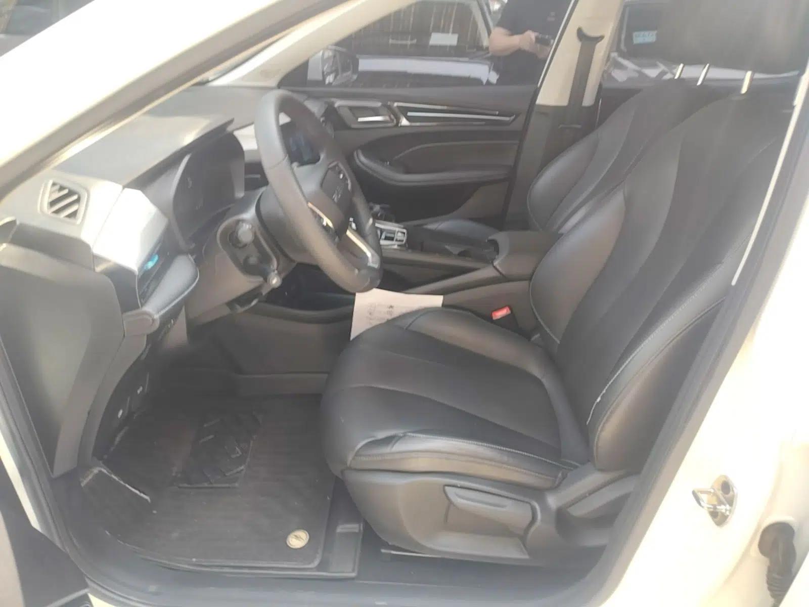 Roewe Ei5 2021 500 Prestige Edition — миниатюра 18